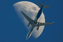 Boeing ������� ���������� �� ������������ ���������� ����������� �������� 737 MAX