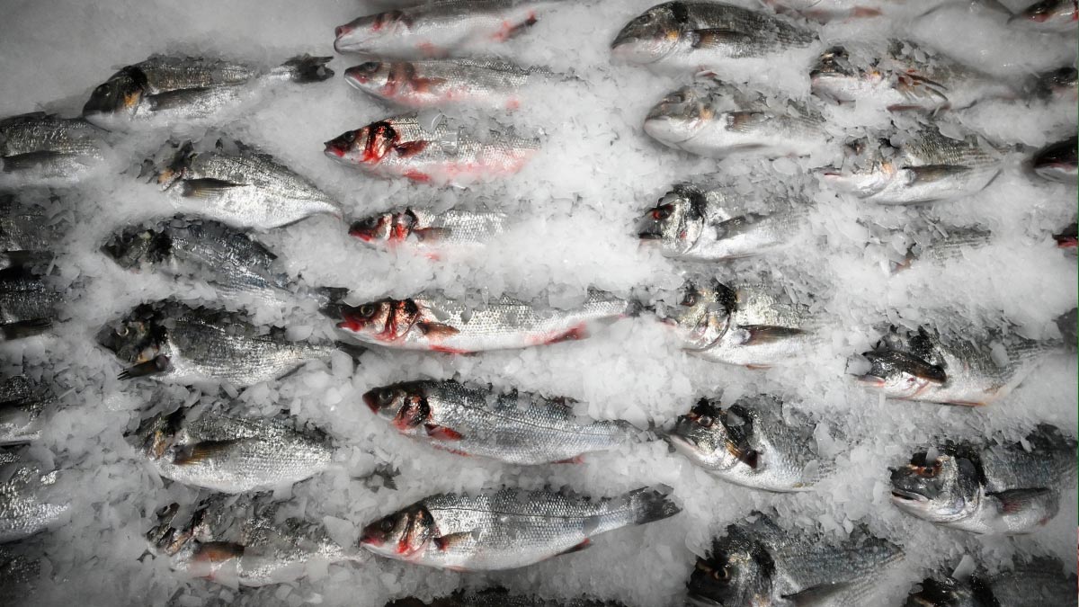Экспорт продукции АПК РФ в КНР к середине октября превысил показатель за весь 2025 г.