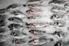 Экспорт продукции АПК РФ в КНР к середине октября превысил показатель за весь 2025 г.