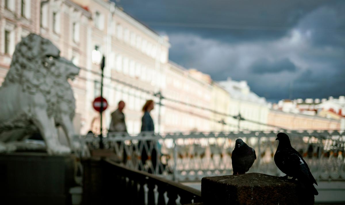 В Петербурге зафиксировали новые температурные рекорды